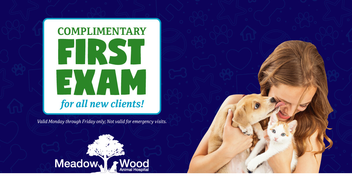 New Client Offer