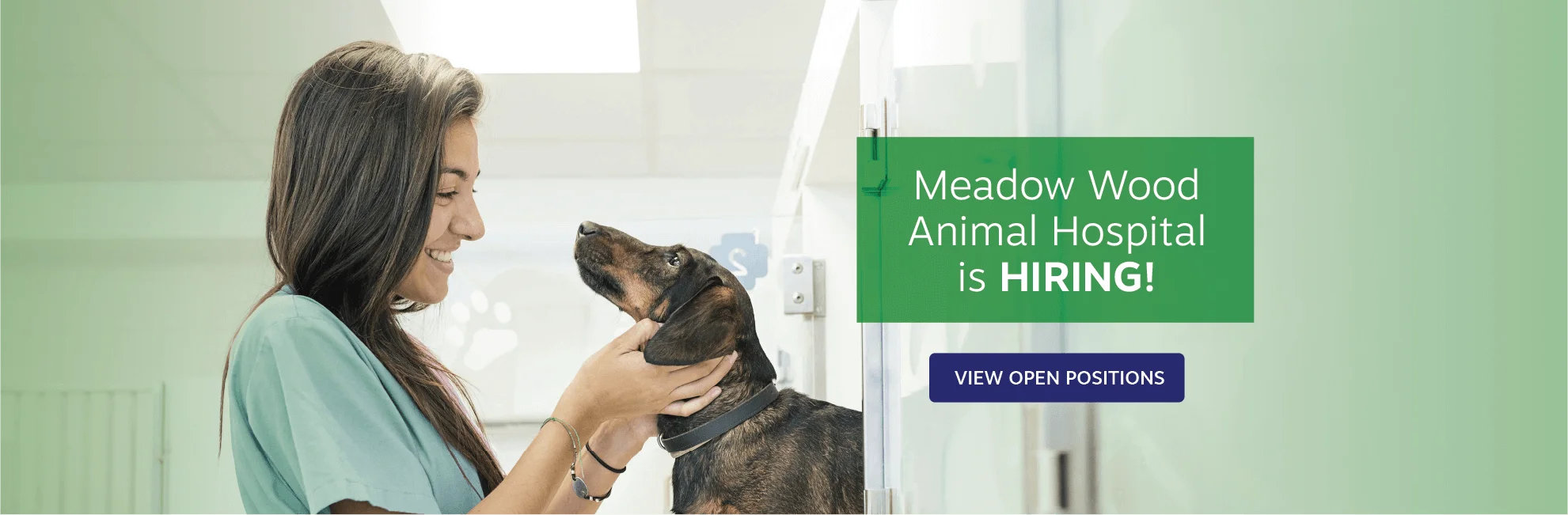 Reasonably priced best sale veterinarians near me